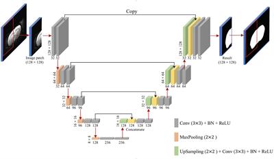 Automatic Skull Stripping of Rat and Mouse Brain MRI Data Using U-Net